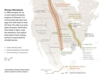 The migration corridor of the whooping crane in the United States.