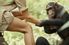 Jane Goodall interacts with two chimpanzee siblings in Gombe Stream National Park, Tanzania.