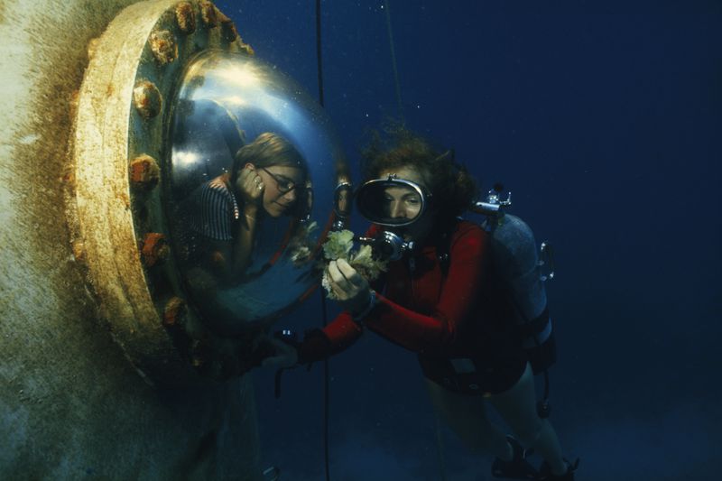 marine-ecosystems-national-geographic-society