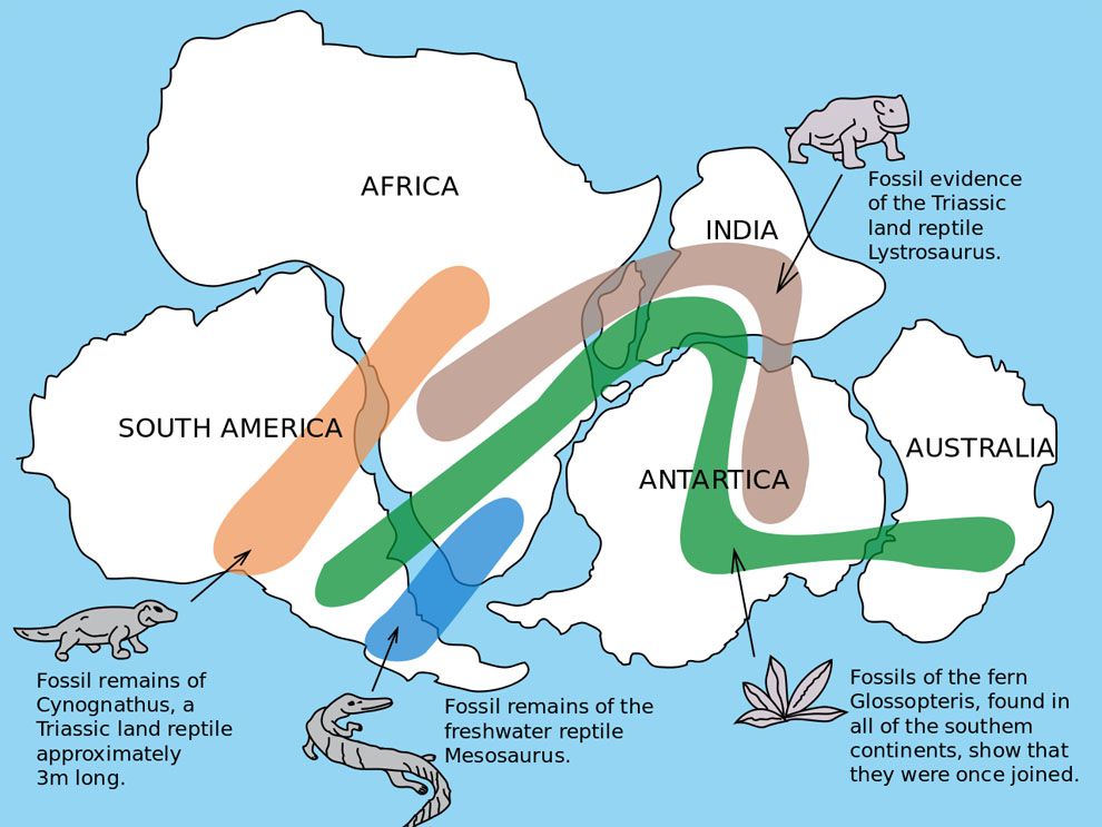 what support the hypothesis of continental drift