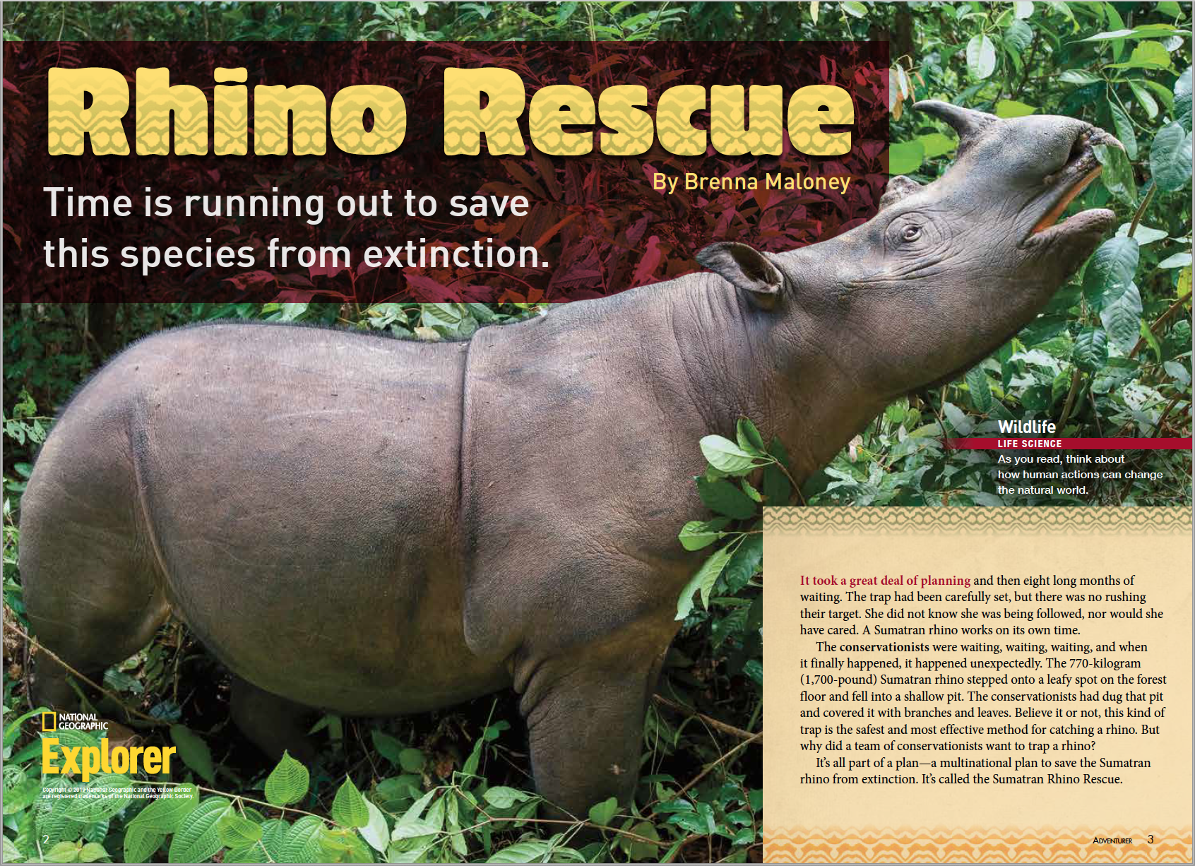 best way to take rhino 7