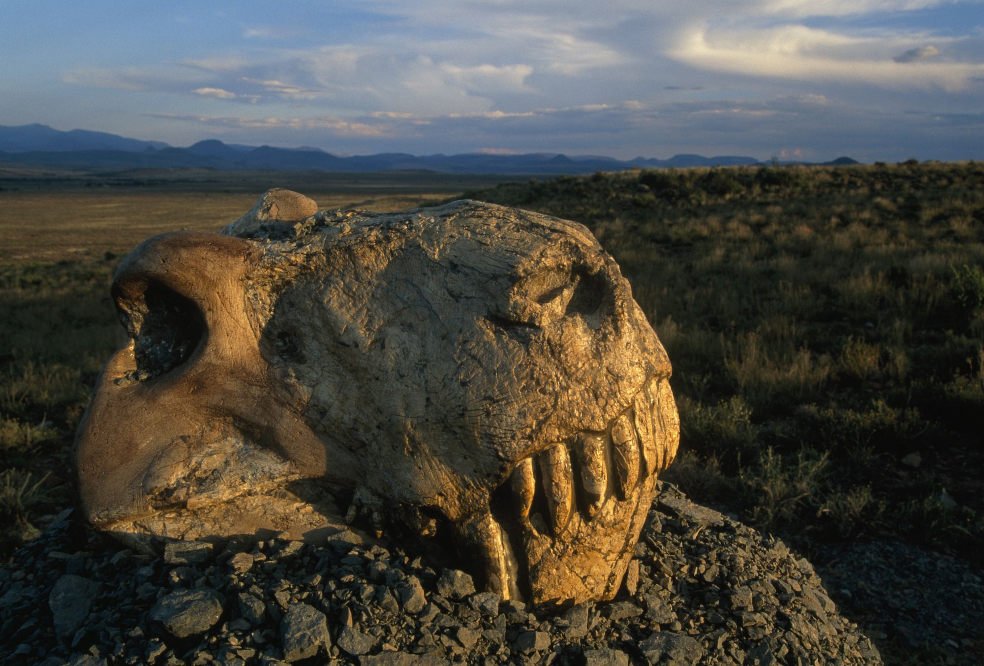 extinction-national-geographic-society