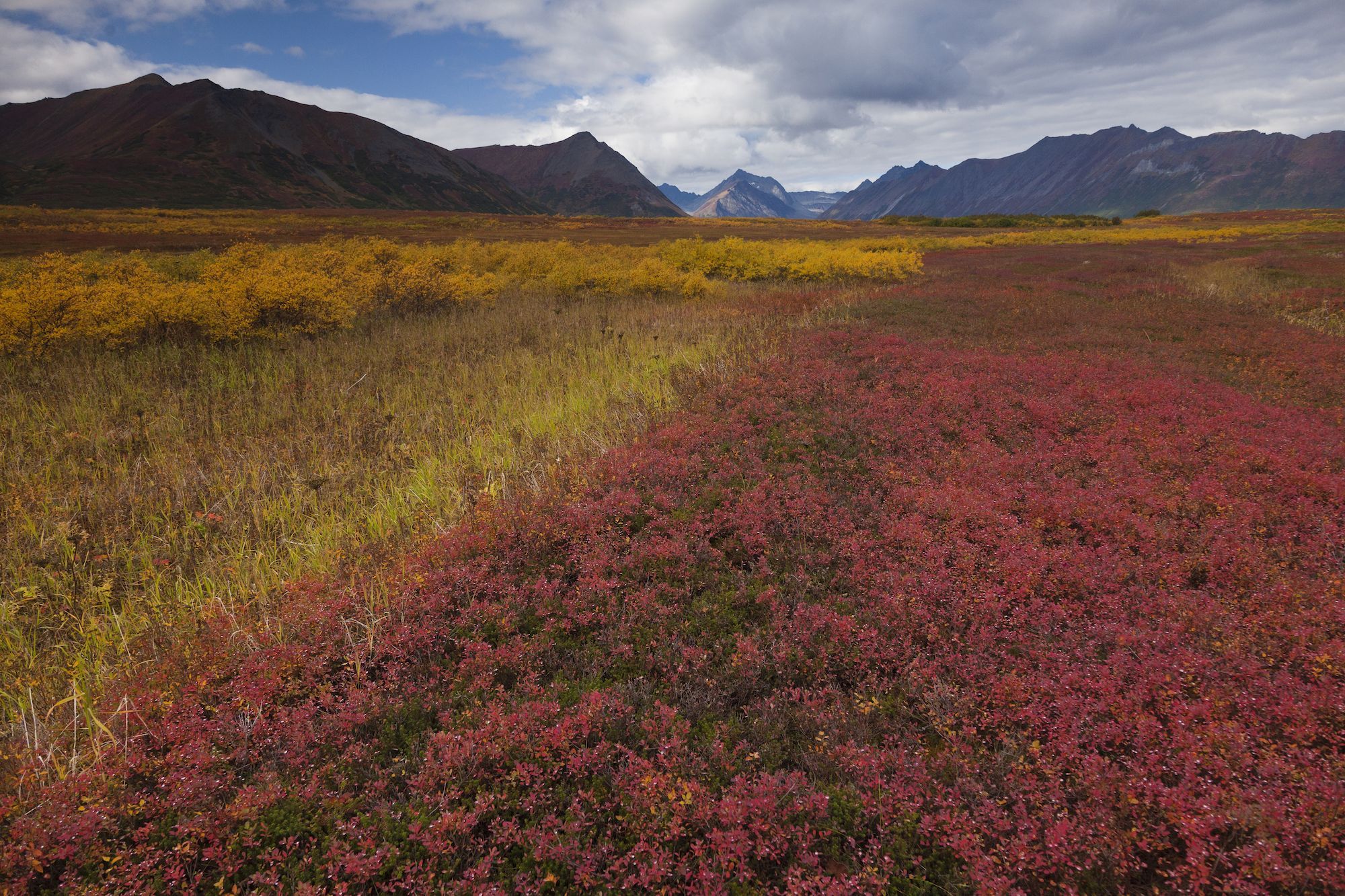 Tundra Threats Explained National Geographic Society