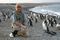 Dr. Dee Boersma has studied their largest colony with more than 200,000 breeding pairs at Punta Tombo, Argentina with help from the Wildlife Conservation Society, Global Penguin Society, and National Geographic.