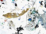 Microplastics