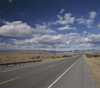 Human infrastructure, such as roads, impact many species as they try to migrate.