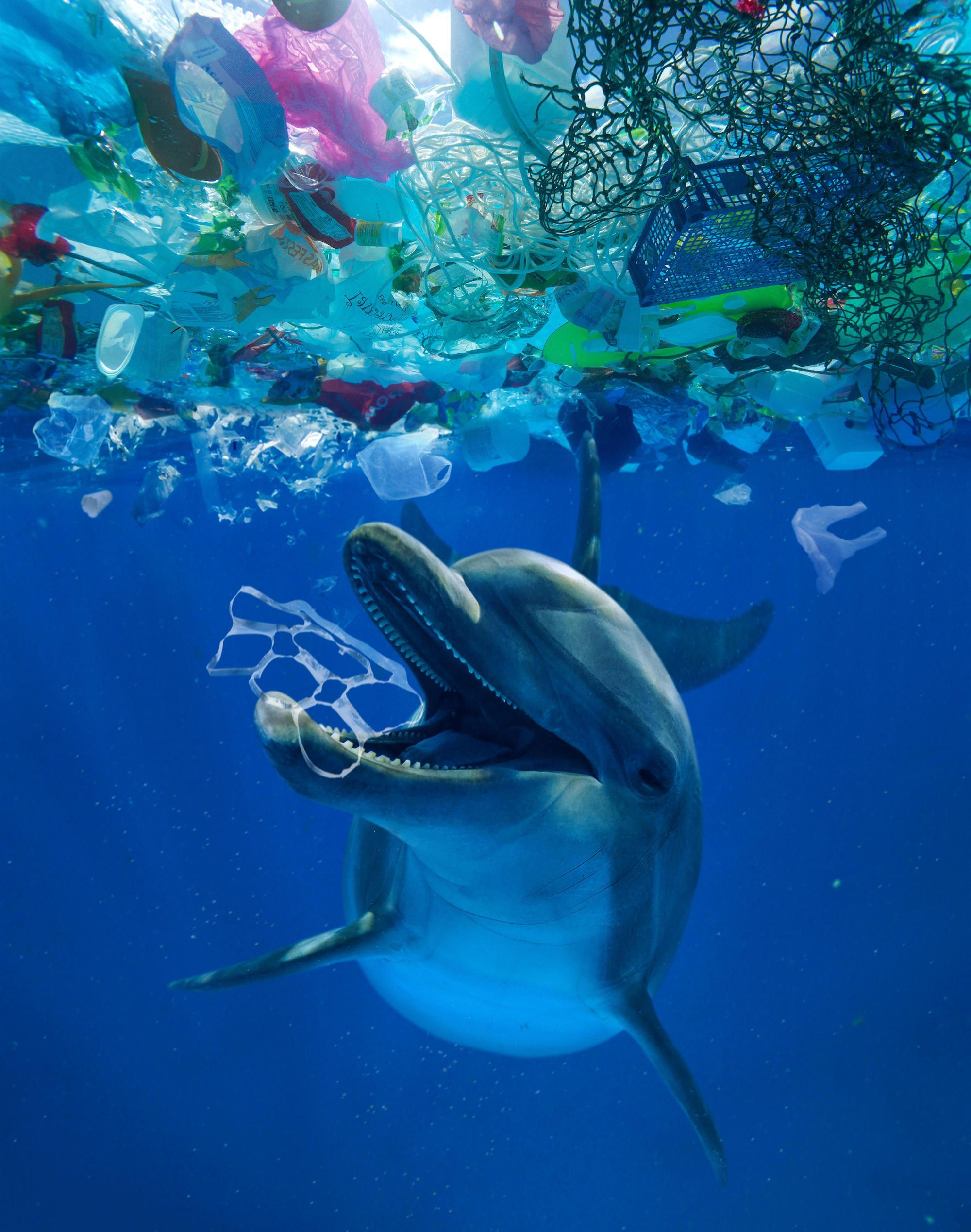 ocean-trash-5-25-trillion-pieces-and-counting-but-big-questions