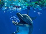 Ocean Trash: 5.25 Trillion Pieces and Counting, but Big Questions Remain