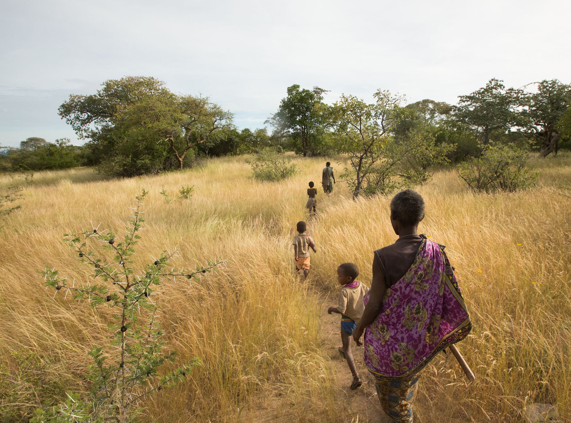 hunter-gatherer-national-geographic-society