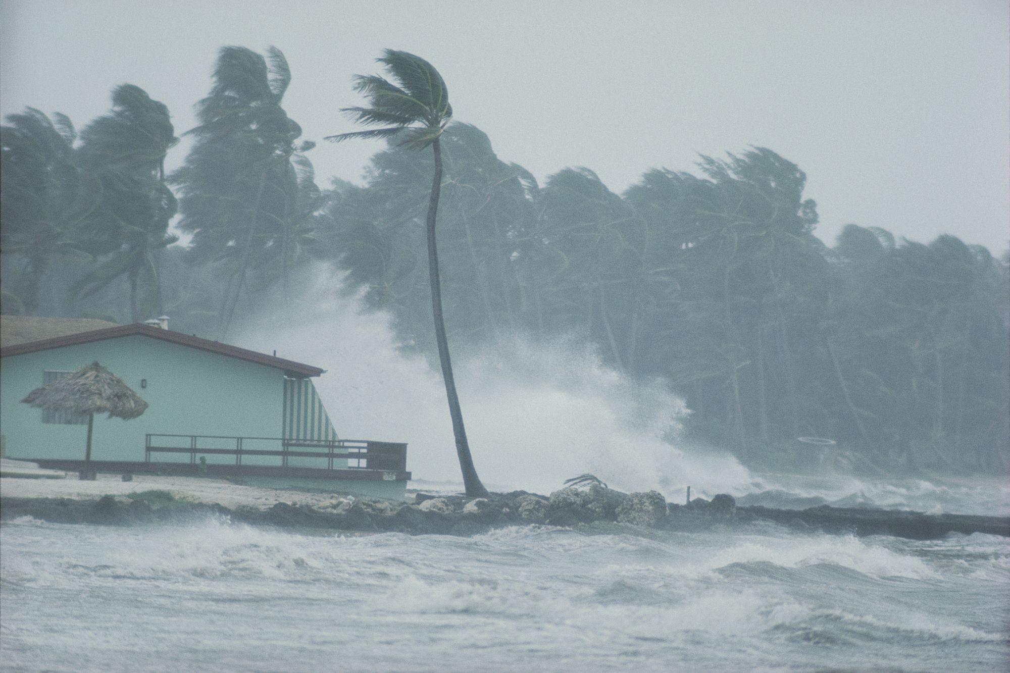 recent hurricanes 2015