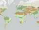 MapMaker: Global Biomes