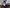 Robot: Geminoid F