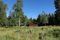 Case Study: Dedicated to Conservation