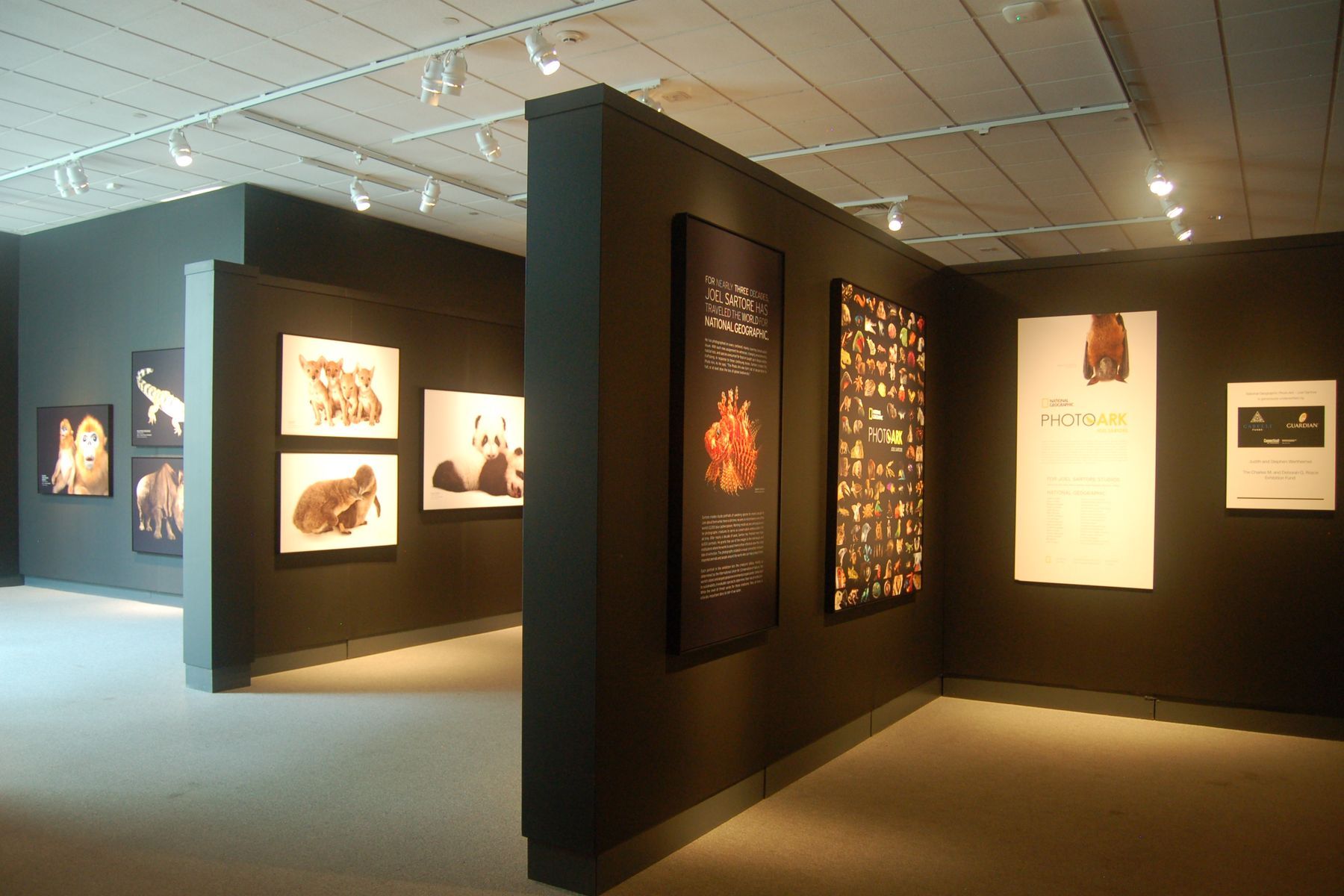 Exhibitions | Photo Ark | National Geographic Society