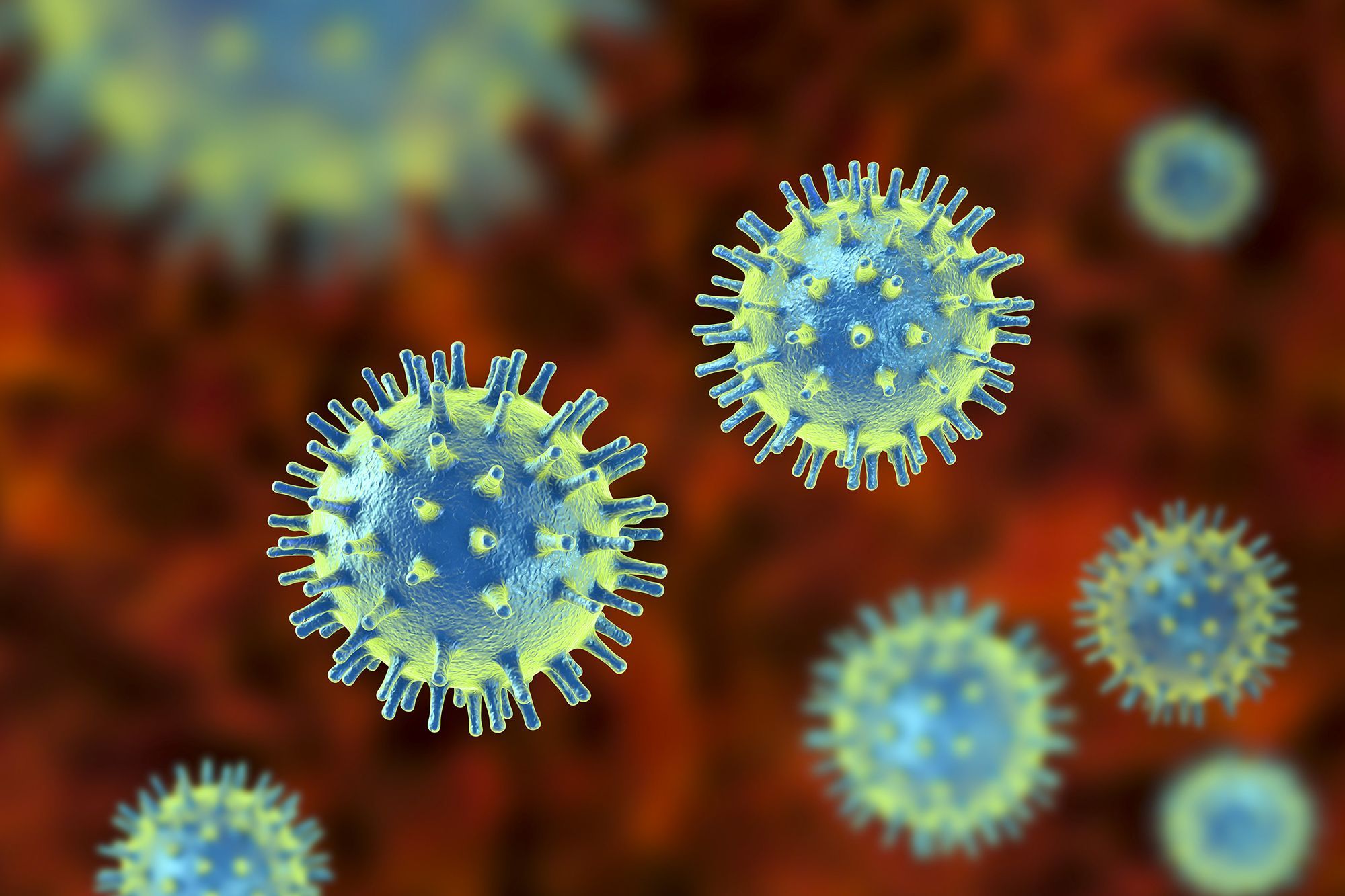 [Influenza virus]