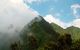 Analyzing the Distribution of Vegetation Zones and Mountain Gorillas in Virunga National Park