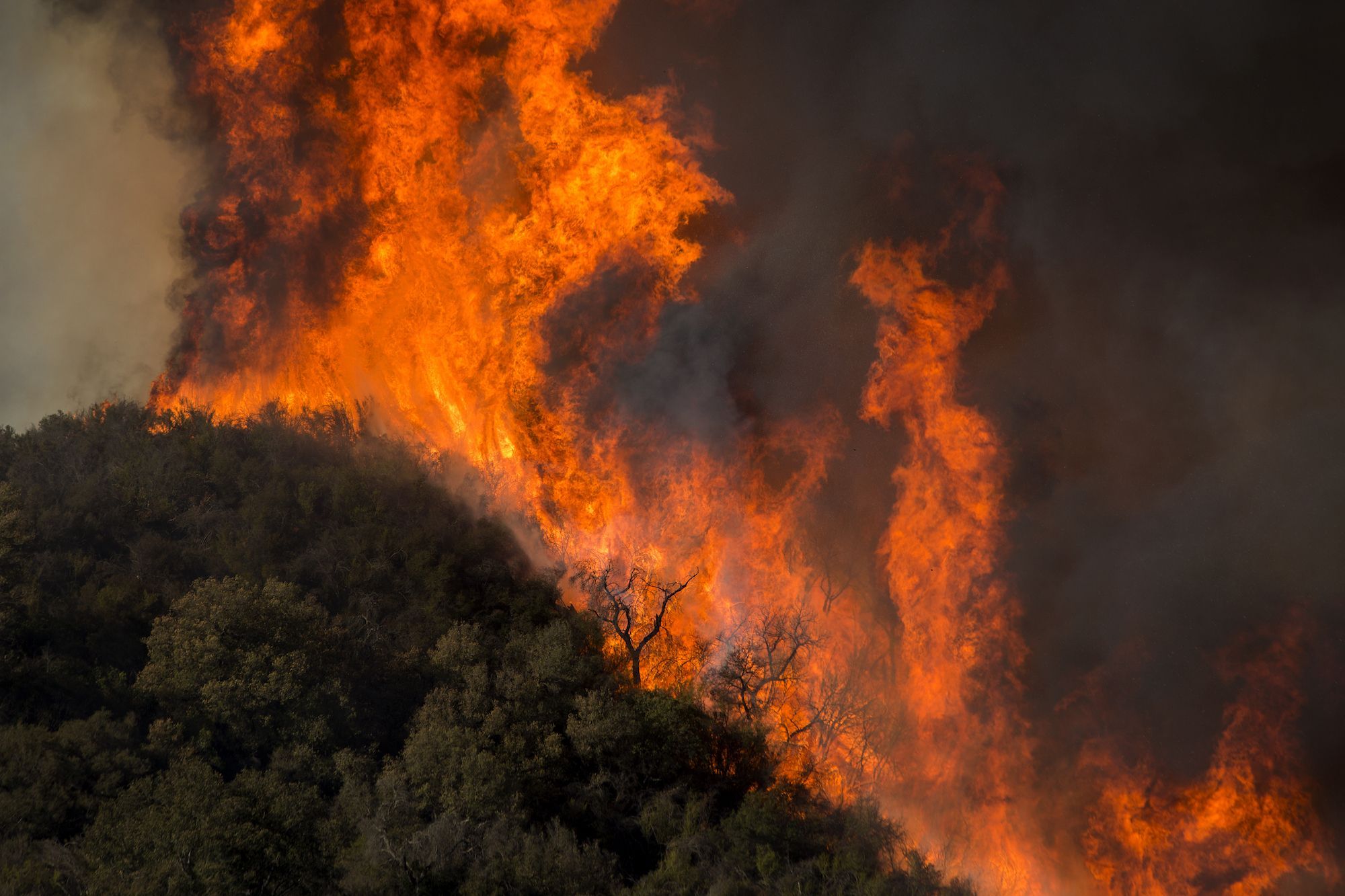 Wildfires National Geographic Society 6629