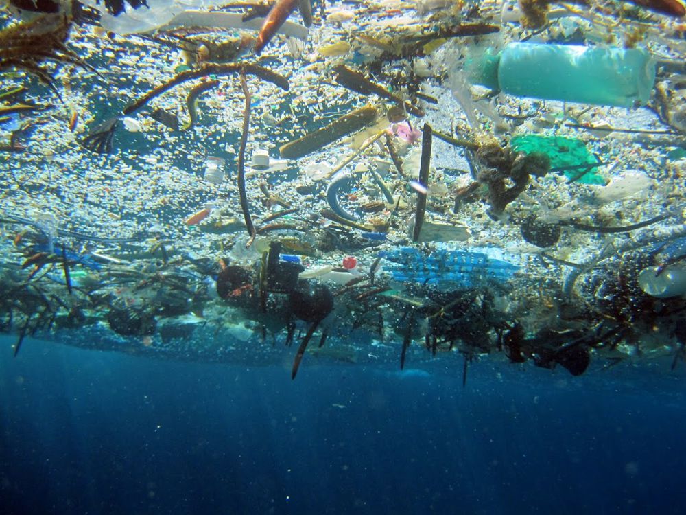 marine-debris-national-geographic-society