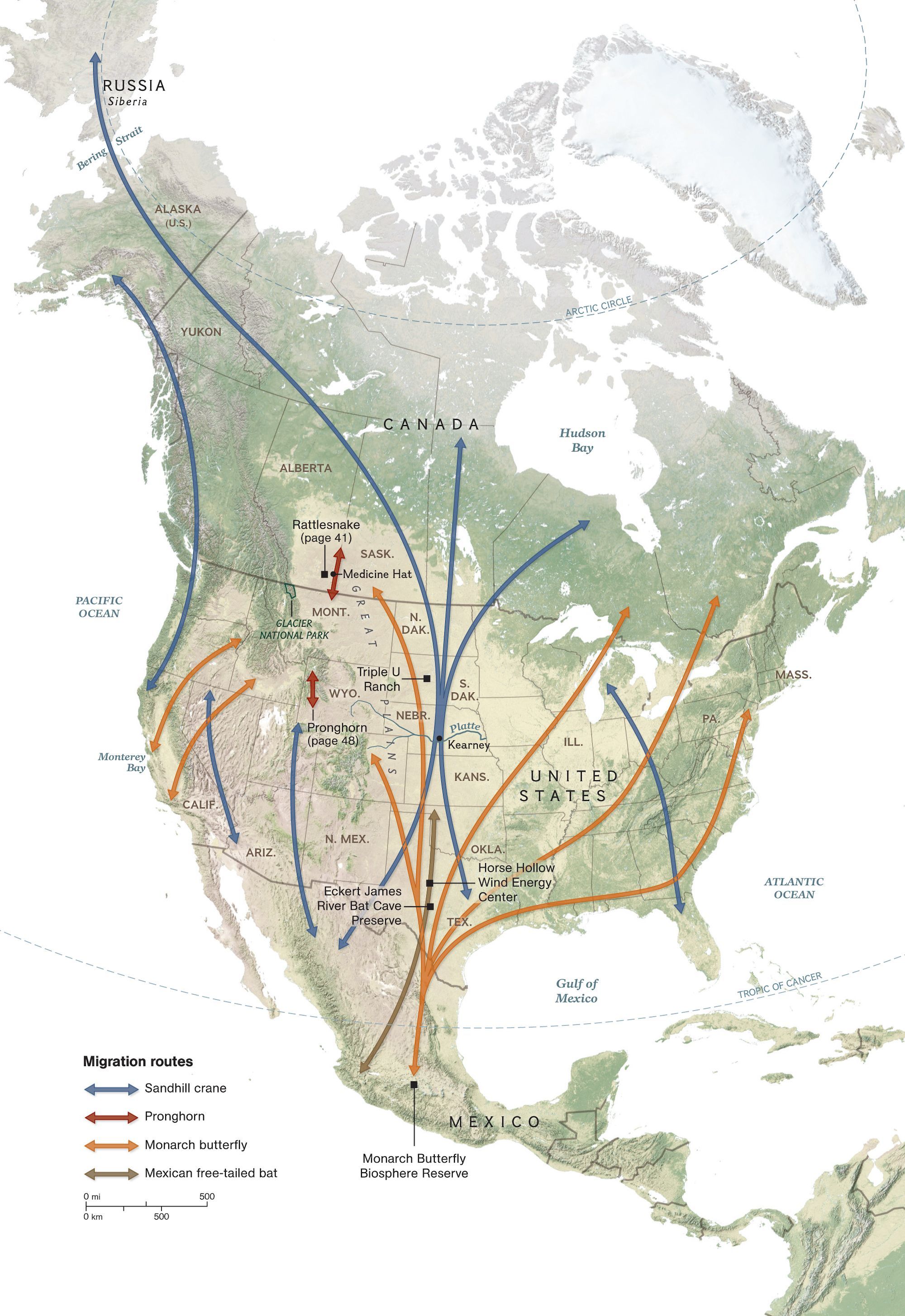 monarch butterfly migration map for kids