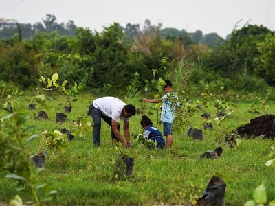 <p>A man plants a tree with his children in New Delhi, India, as part of a local campaign to fight air pollution.</p>