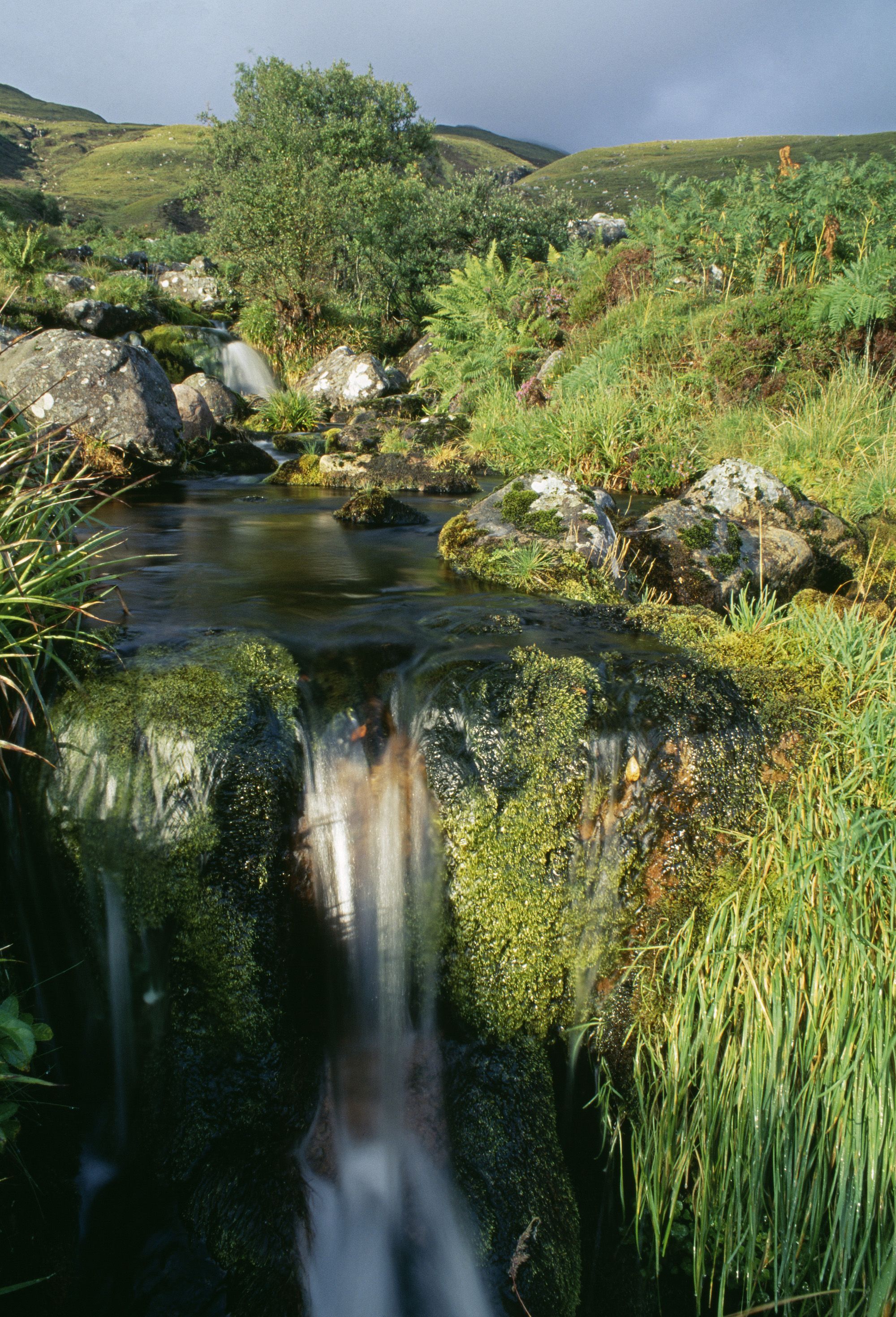 Freshwater Ecosystem National Geographic Society