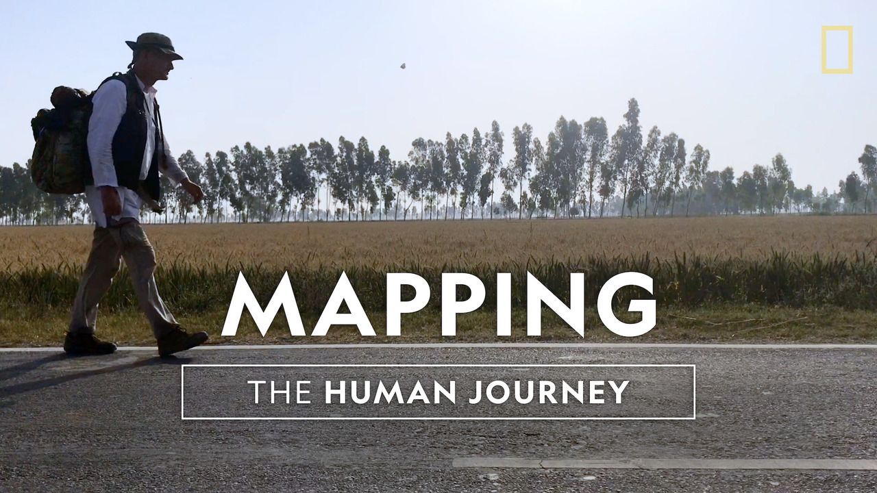 synonym for human journey