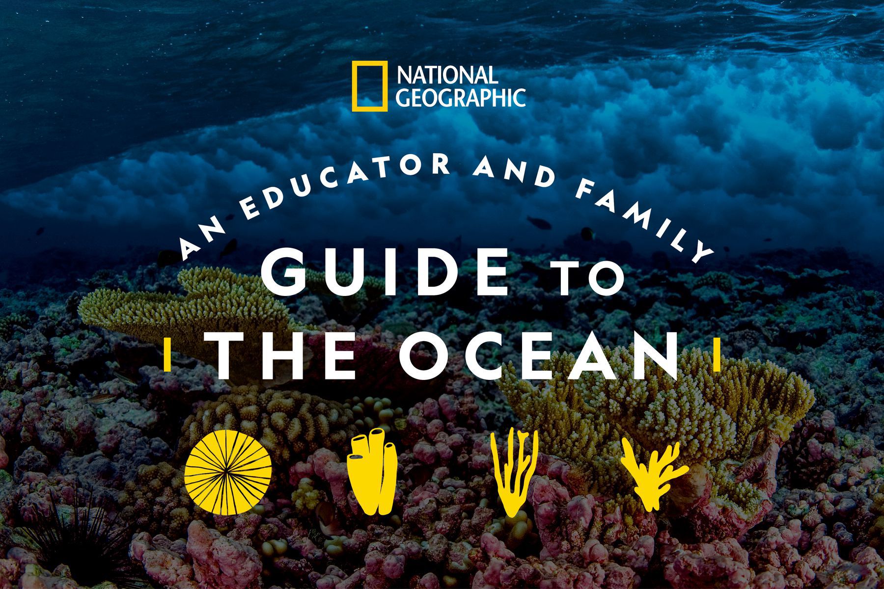 Learn At Home | National Geographic Society