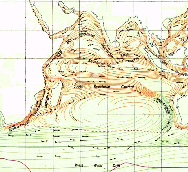 Tropical gyres form near the Equator and flow in a more east-west pattern than other gyres. The wind-driven equatorial currents in the Indian Ocean Gyre actually are actually two different gyres—which can change direction depending on the powerful monsoon.