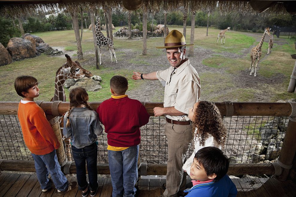 using a grid with a zoo map national geographic society