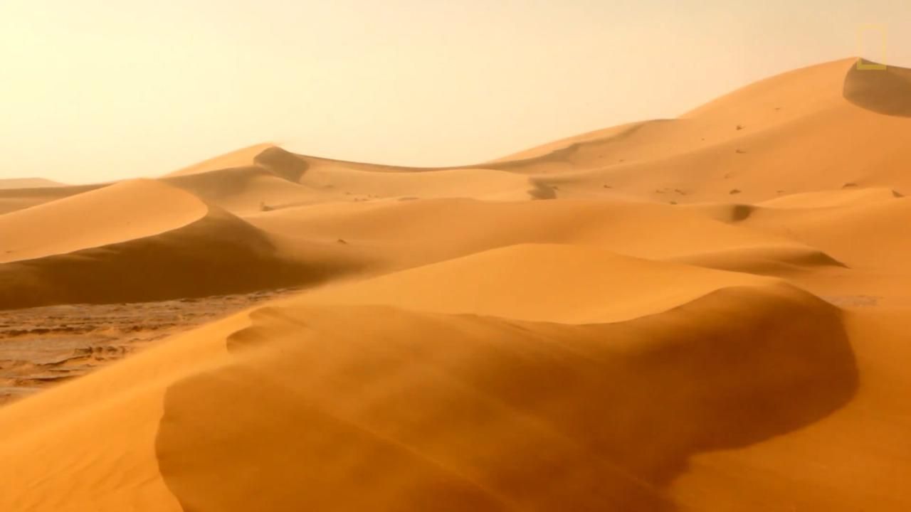 Deserts 101 National Geographic Society